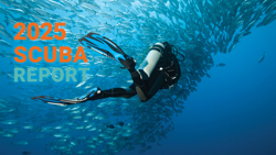 2025 SCUBA Report Cover